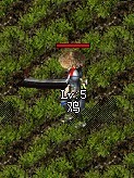 d1.jpg