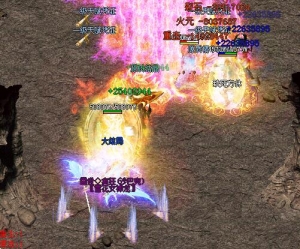 d3.jpg