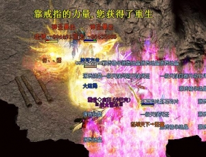 d6.jpg