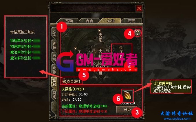 d2.jpg