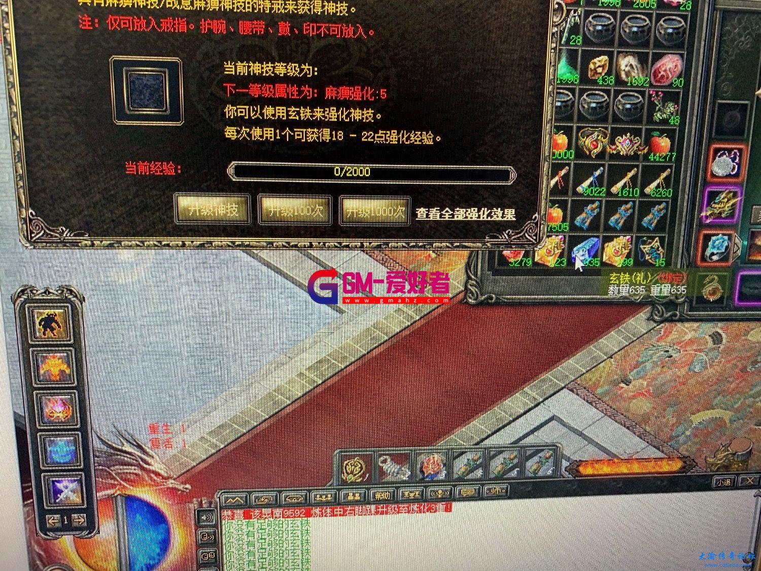 d1.jpeg
