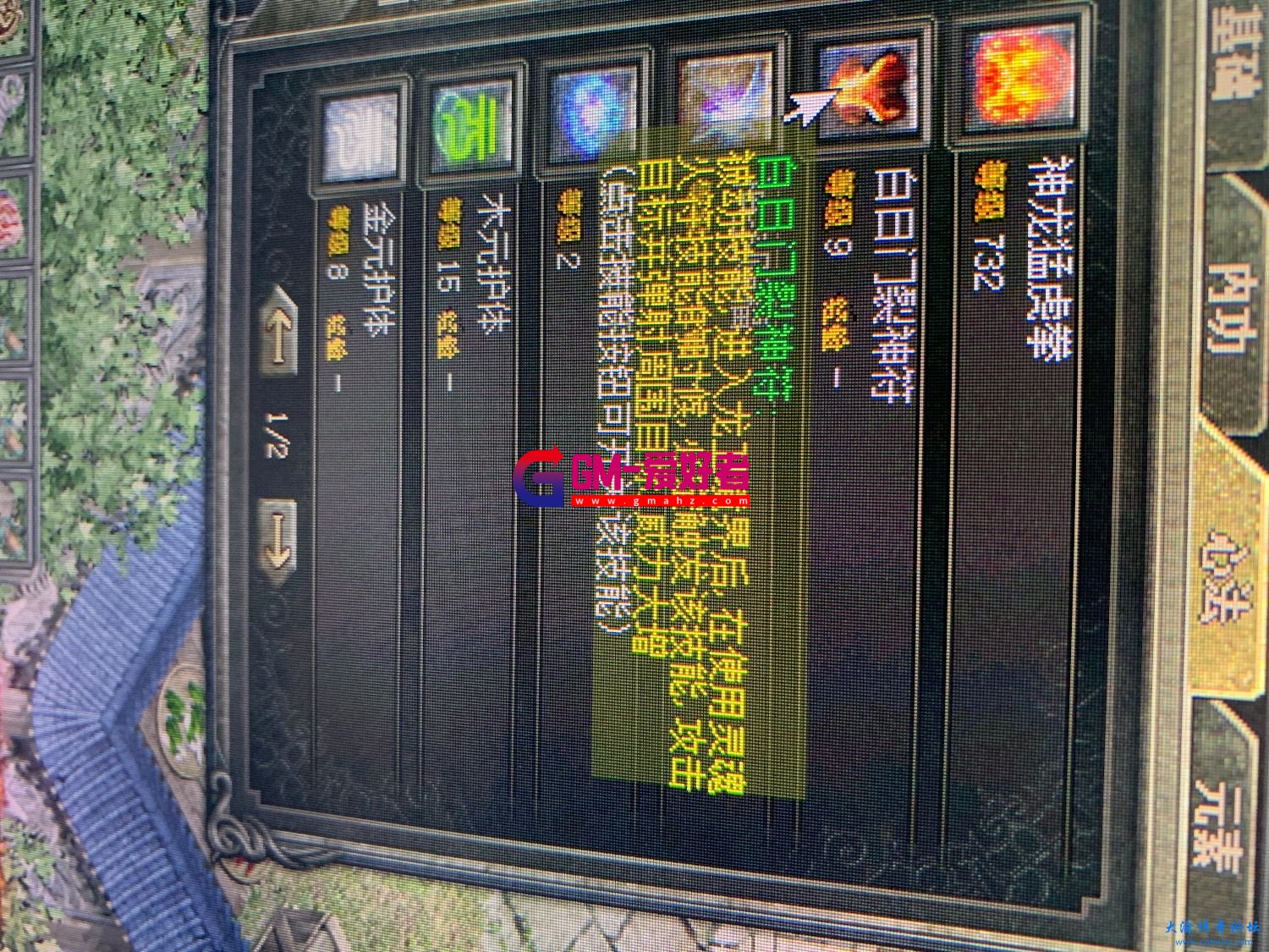 d1.jpeg