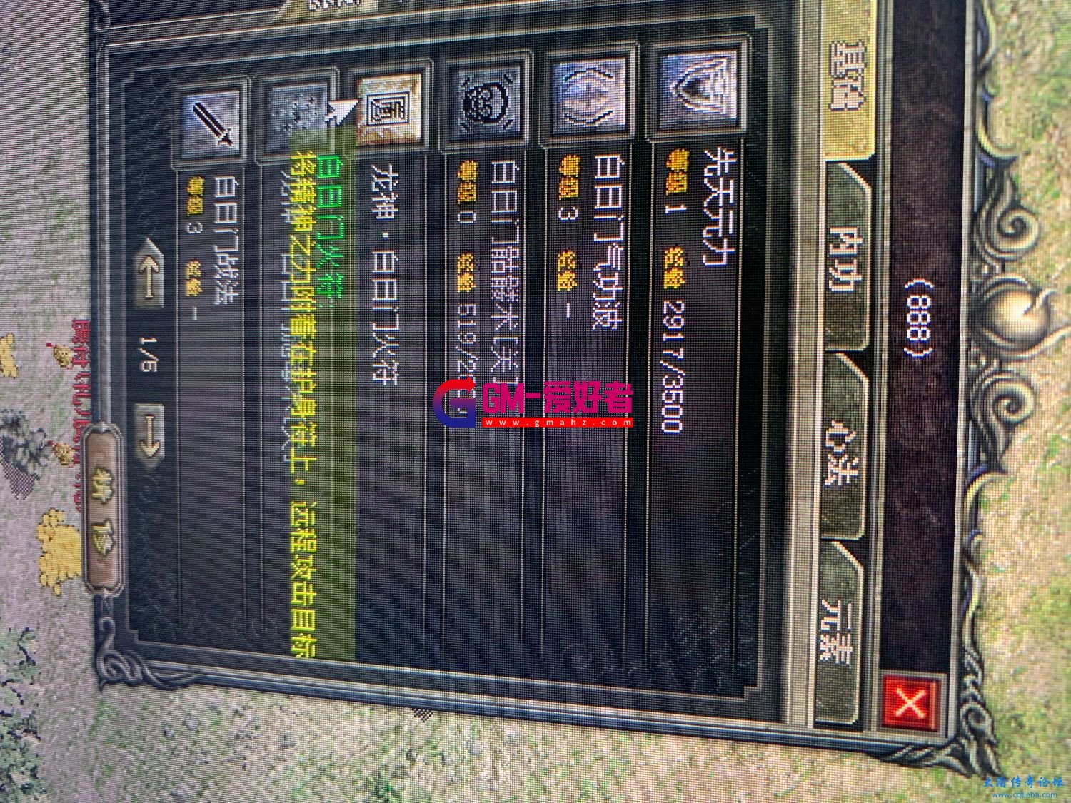 d3.jpeg