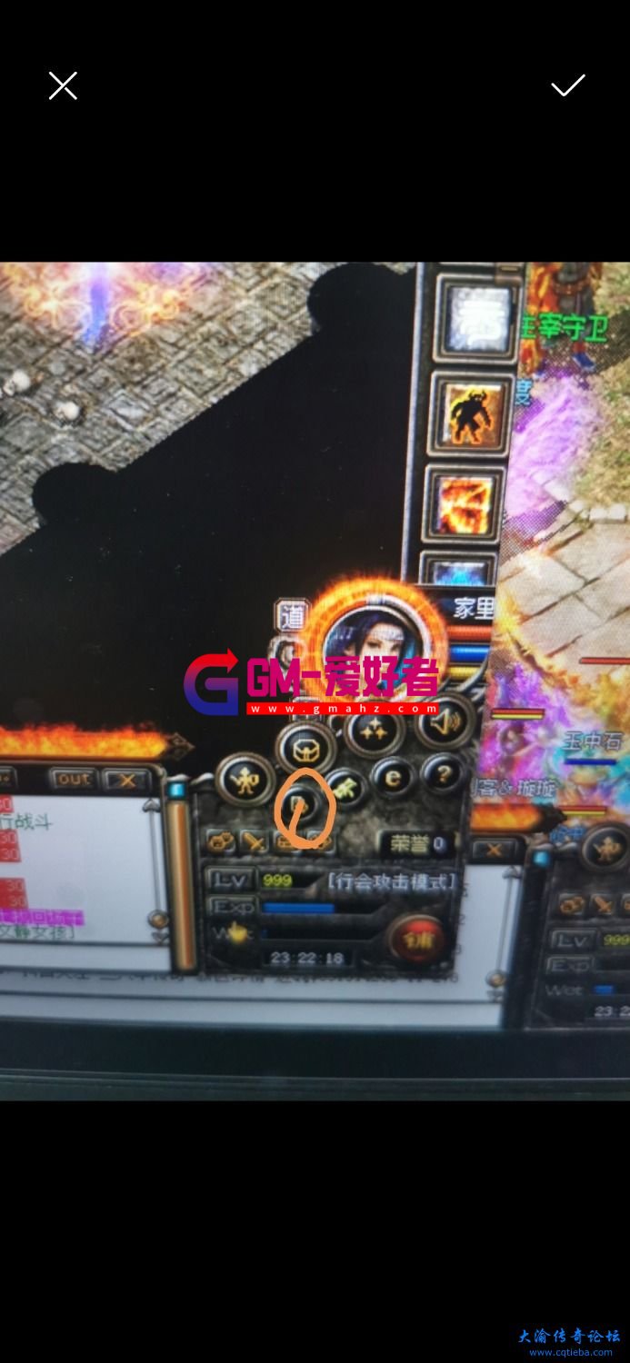 d1.jpg