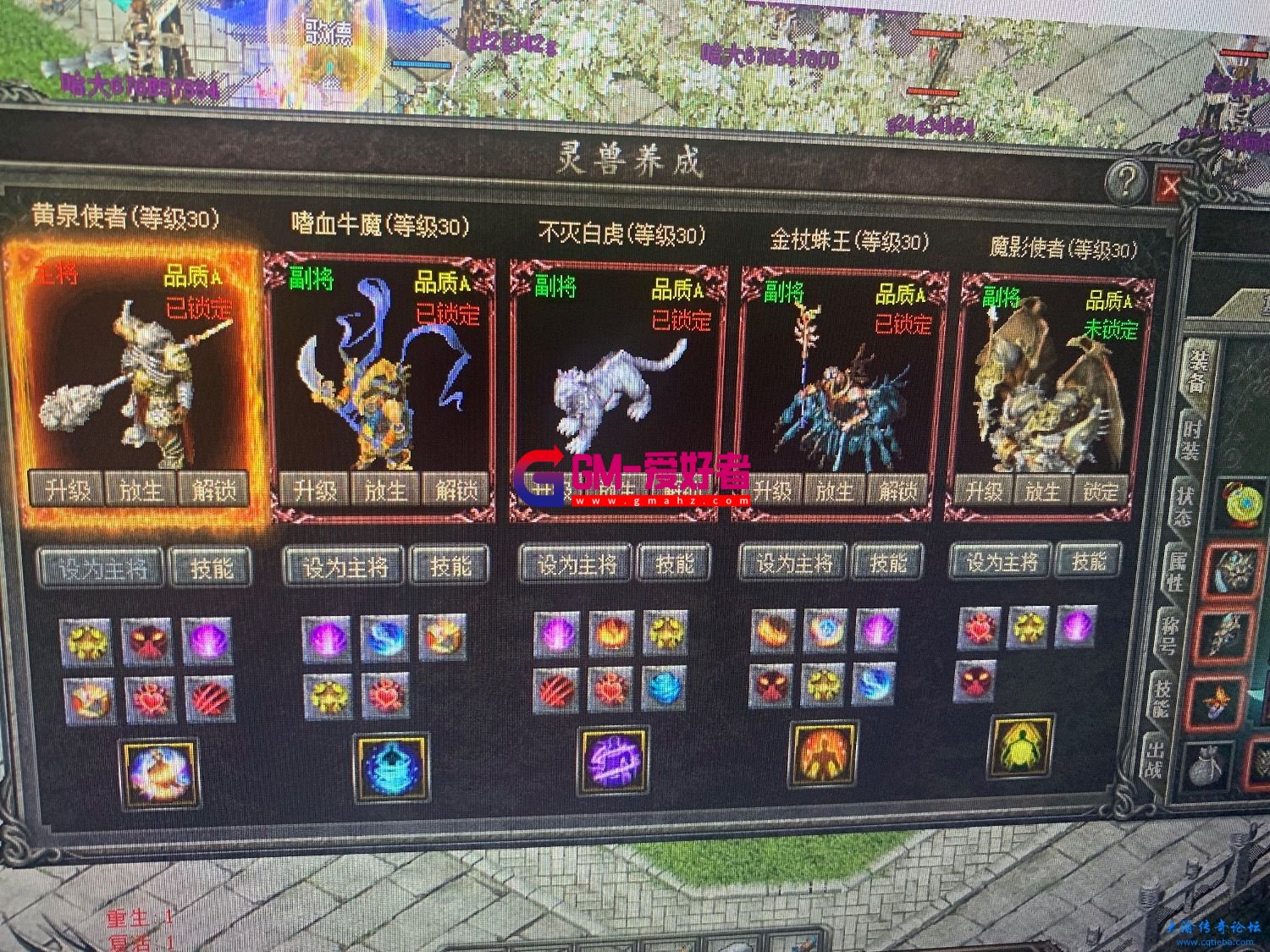 d1.jpeg