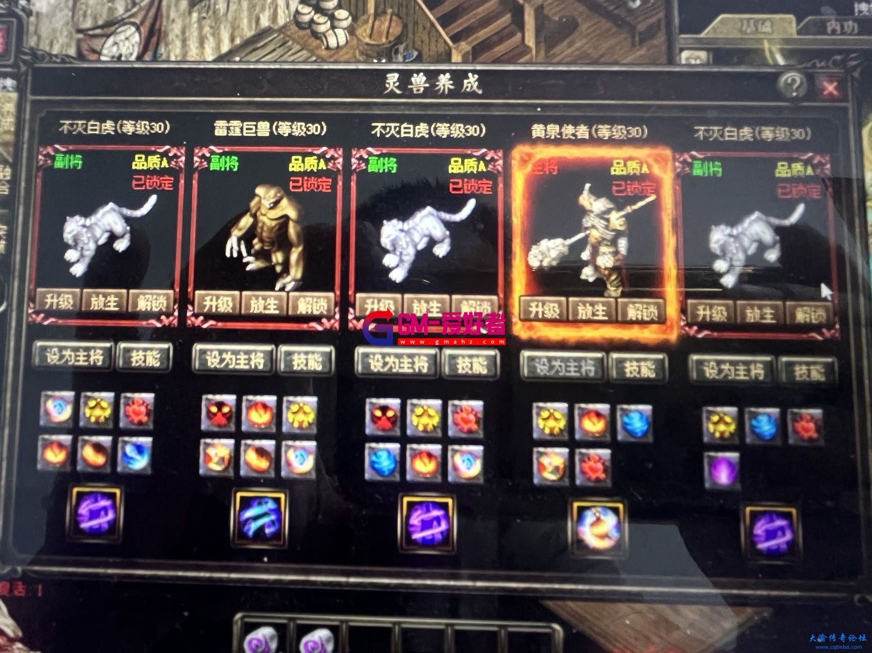 d3.jpg