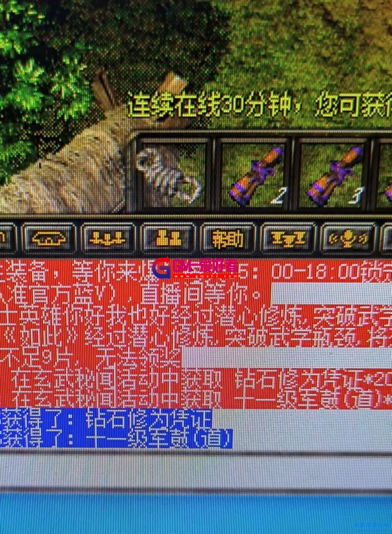 d3.jpg