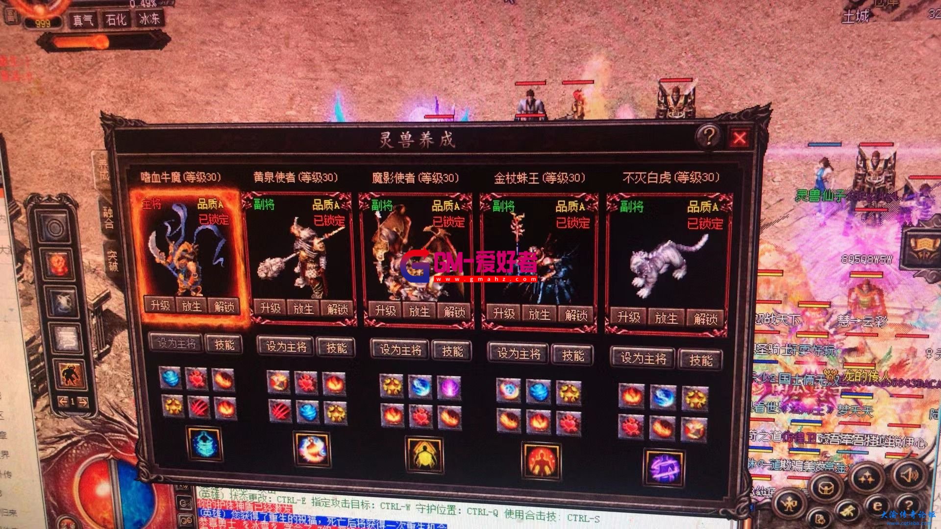d3.jpg
