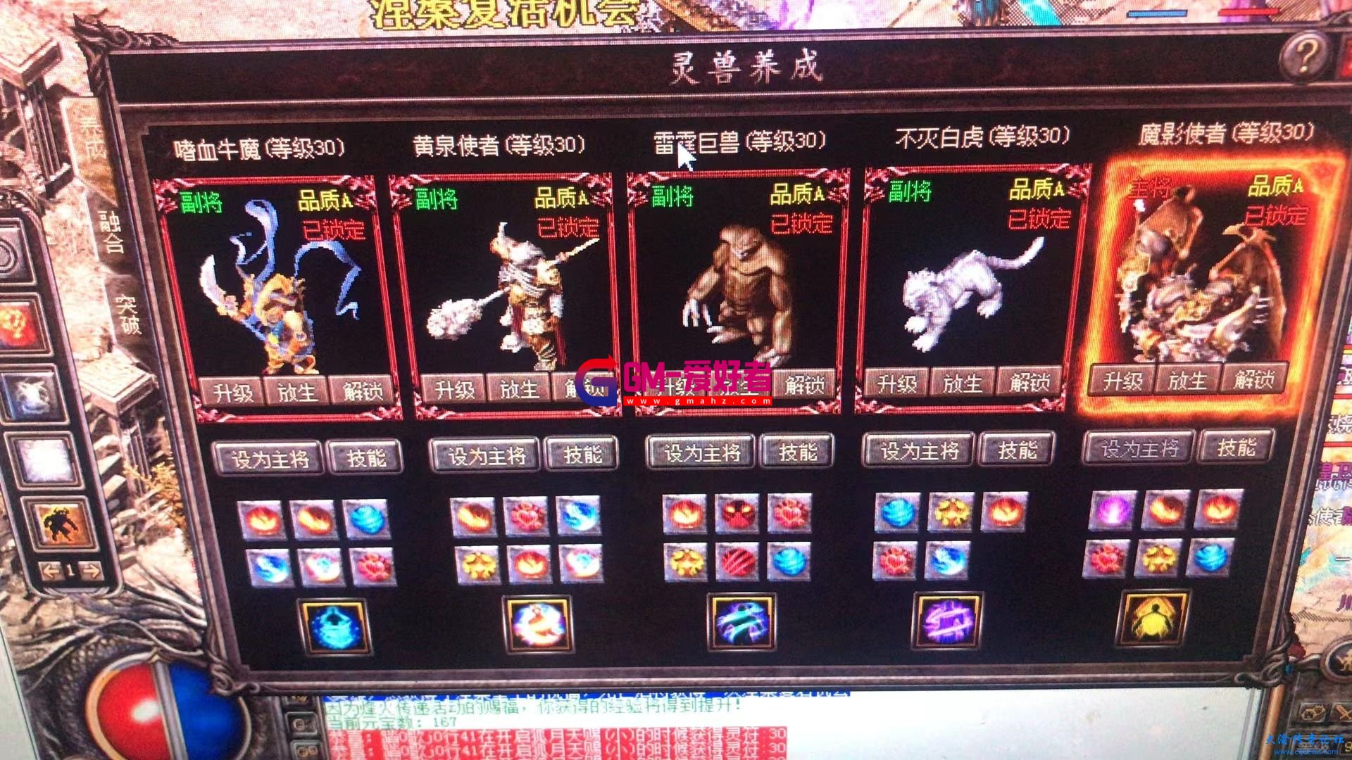 d1.jpg
