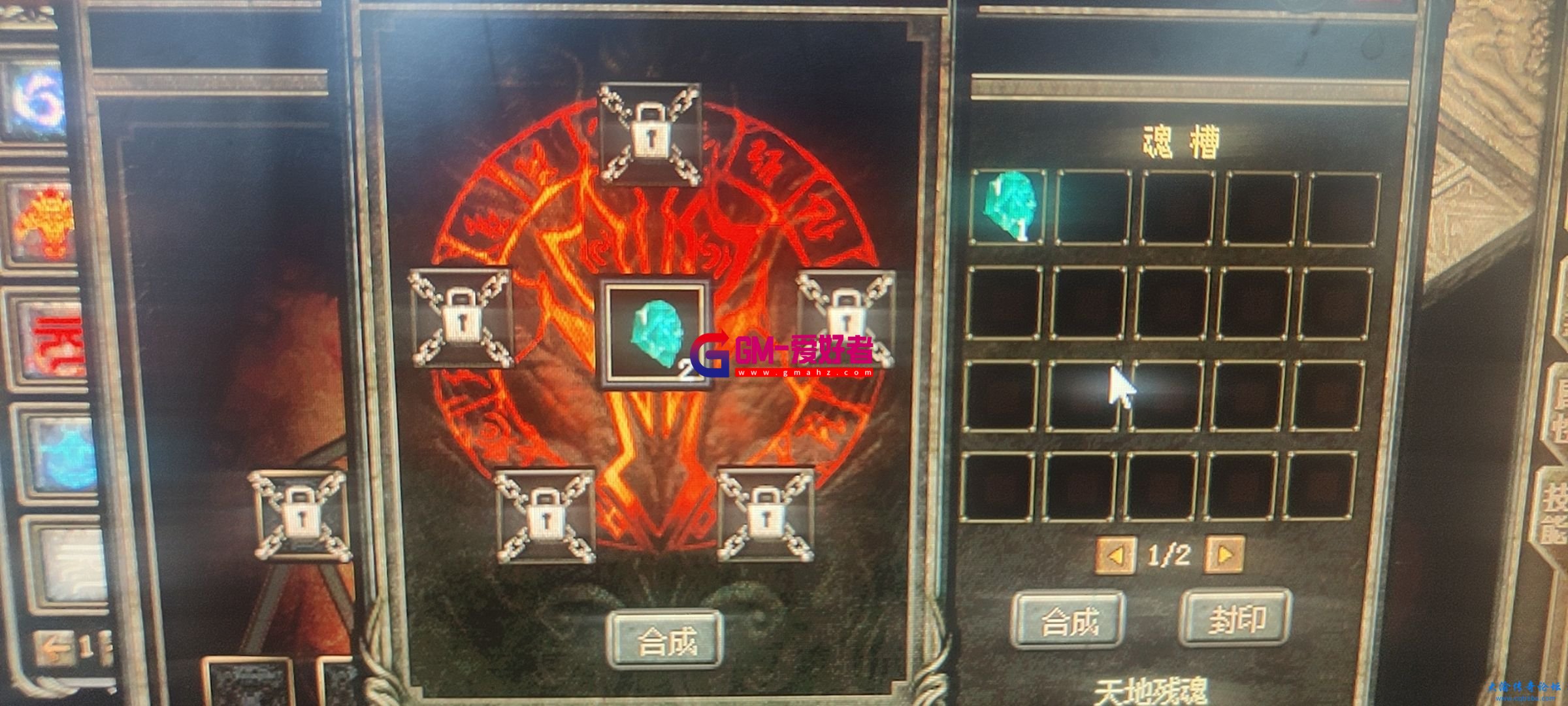 d1.jpg