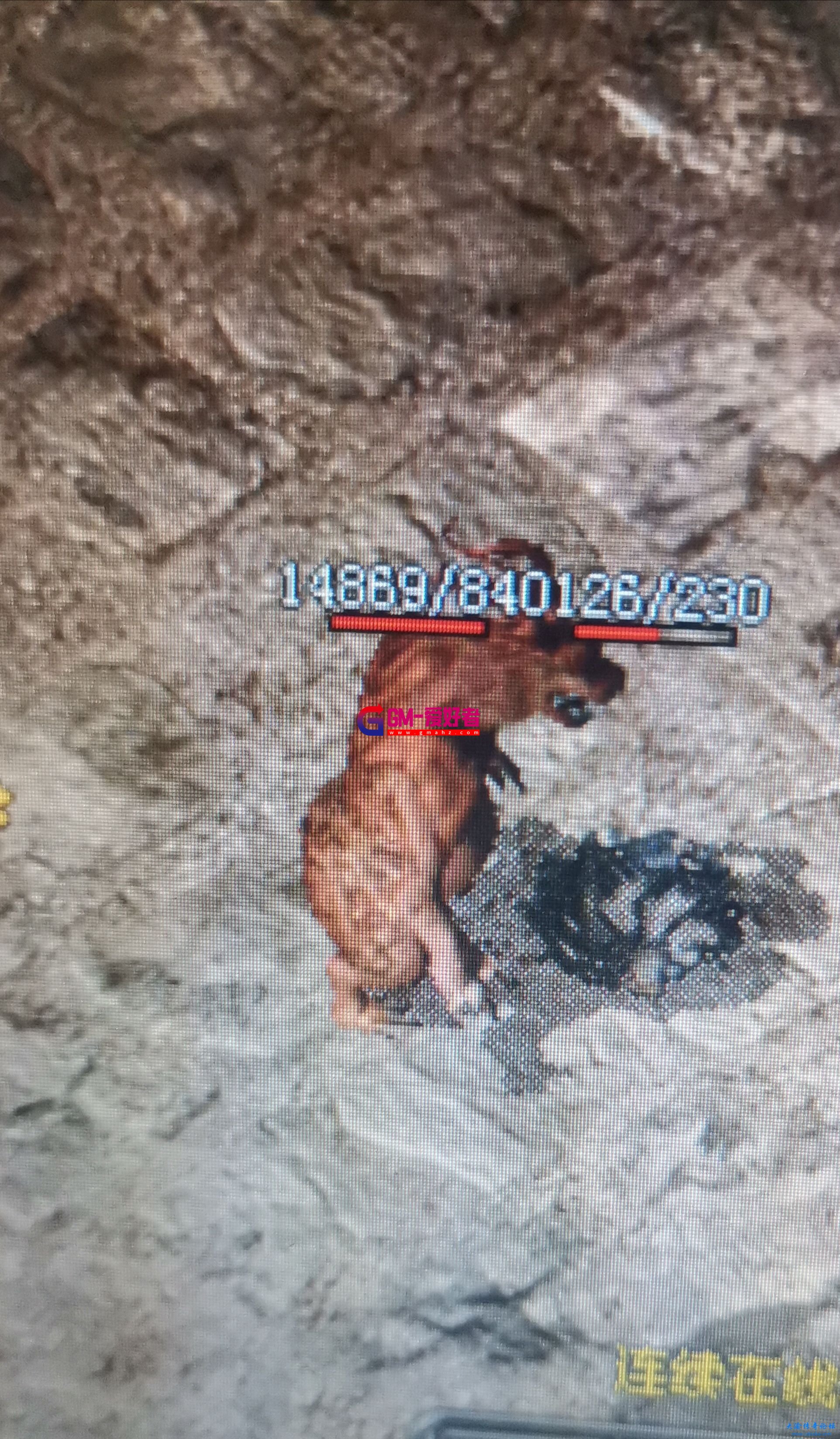 d1.jpg