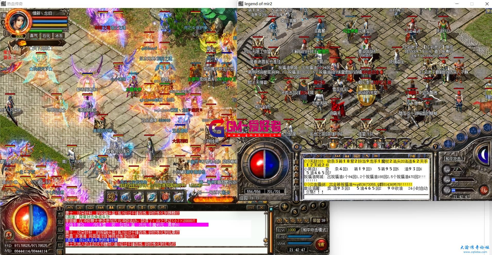 d1.jpg