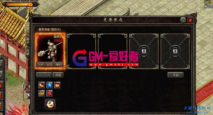d1.jpg