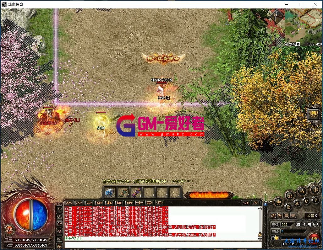 d3.jpg