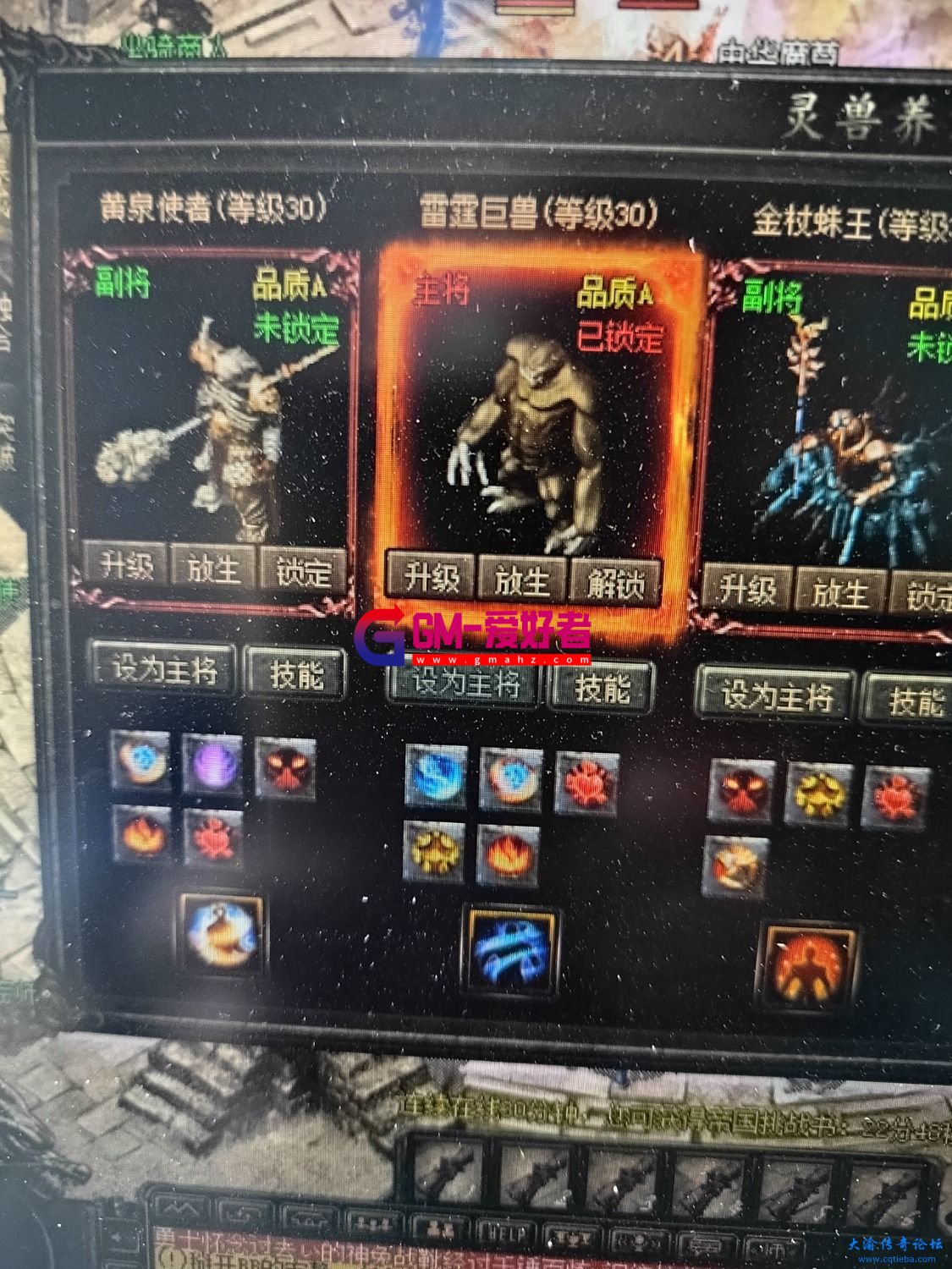 d1.jpg