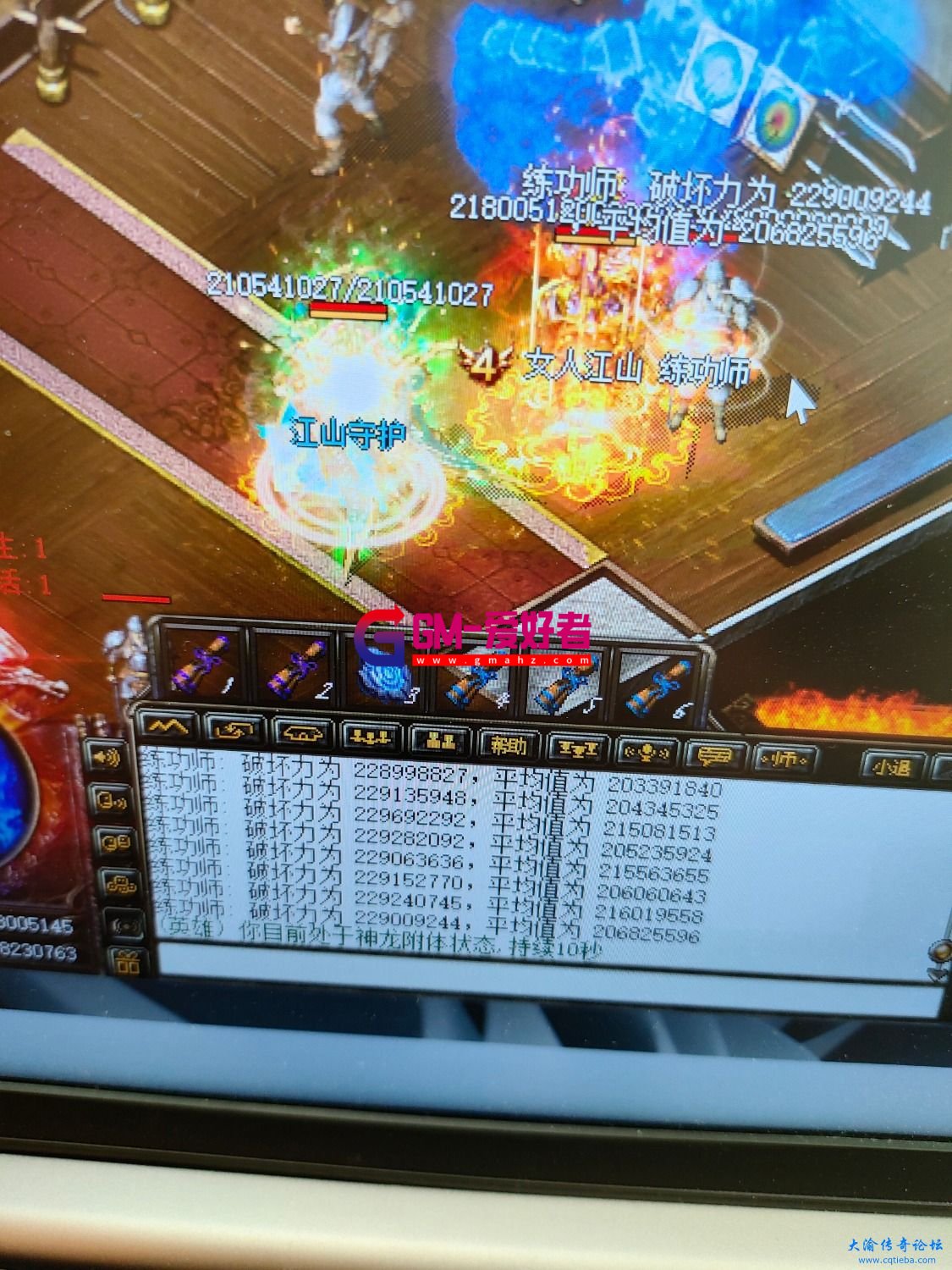 d1.jpg