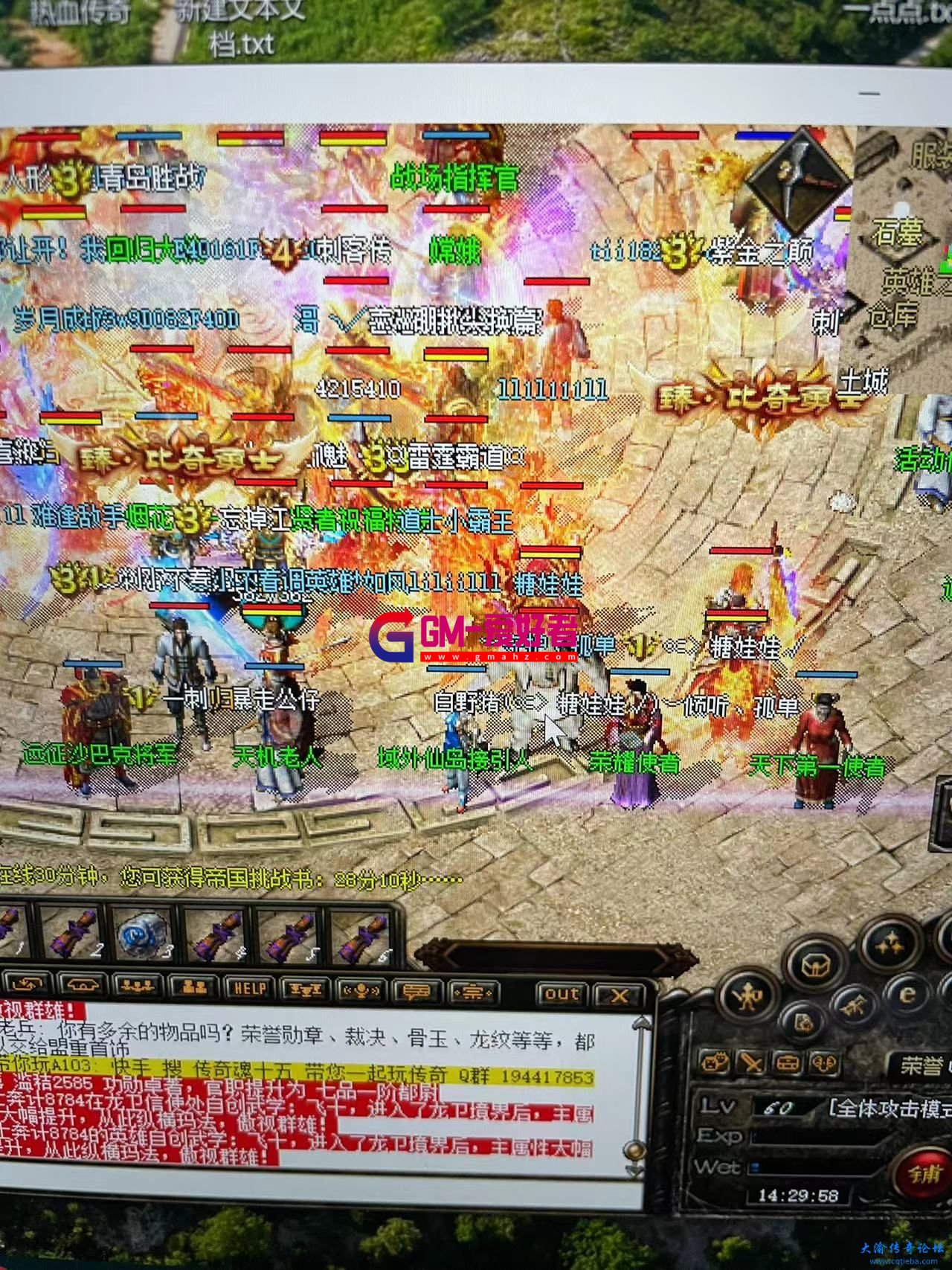 d1.jpg