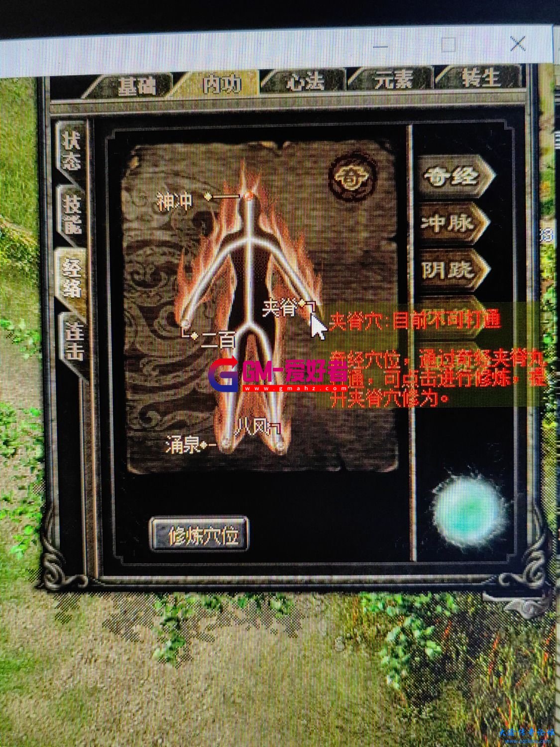 d1.jpg