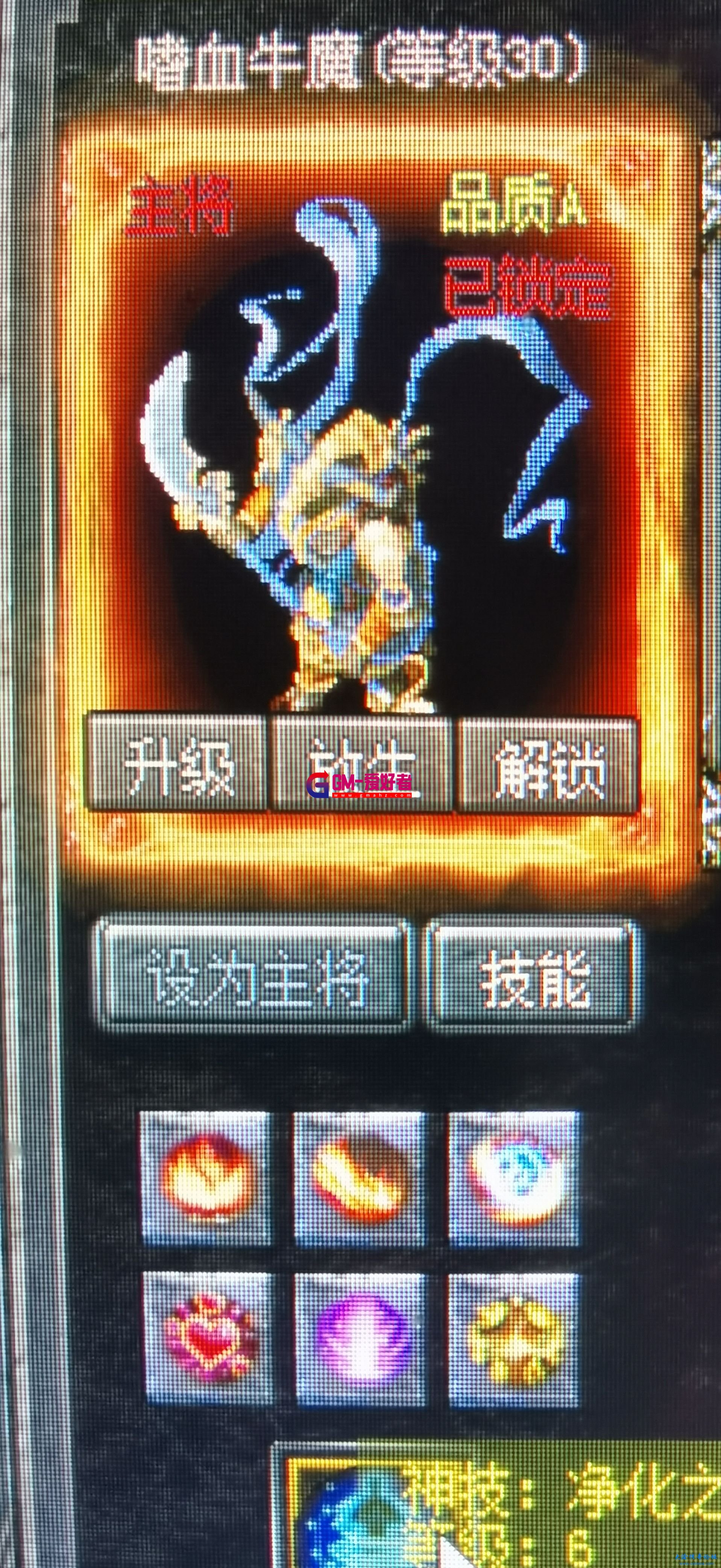 d1.jpg