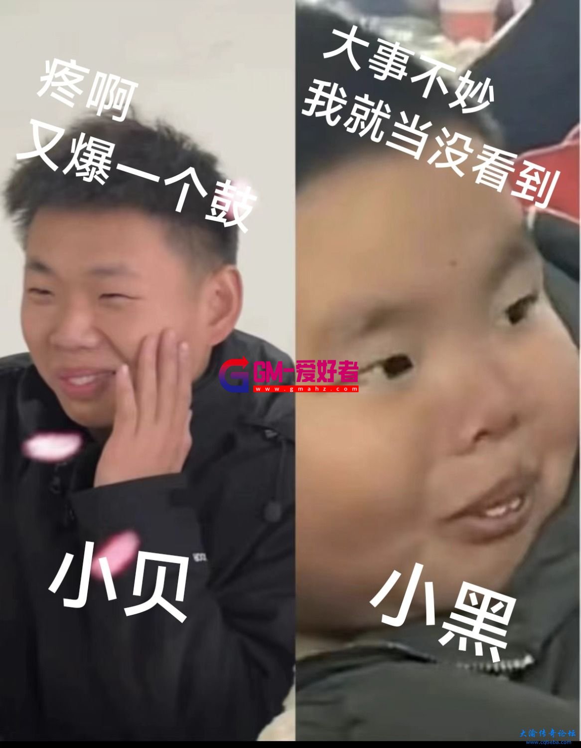 d1.jpg