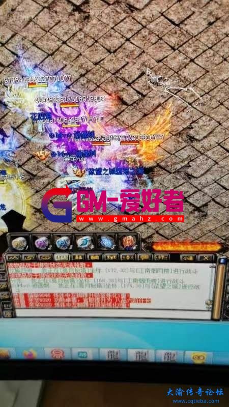 d1.jpg