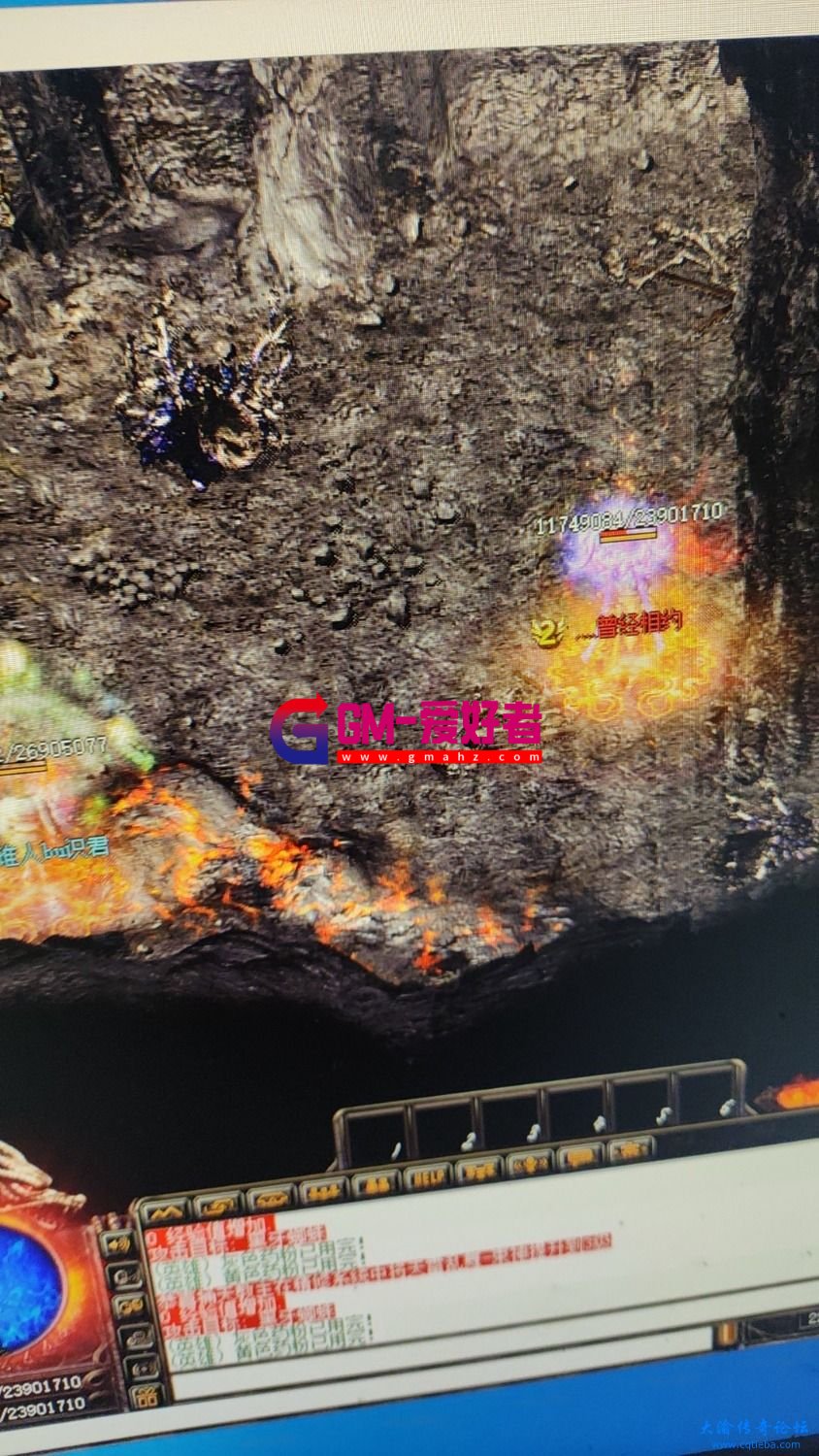 d1.jpg