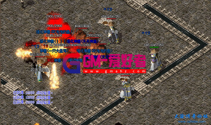 d1.png