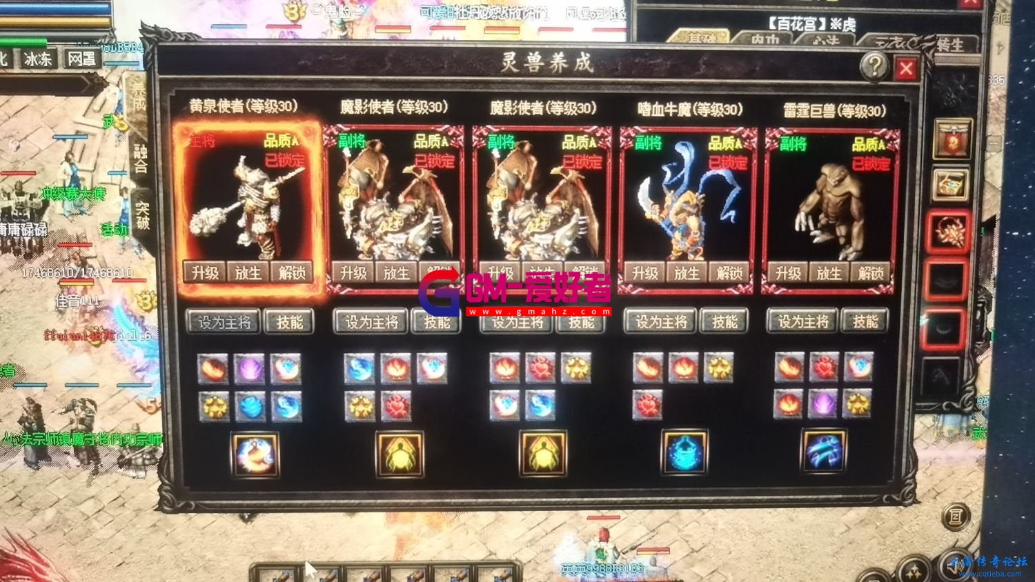 d1.jpg