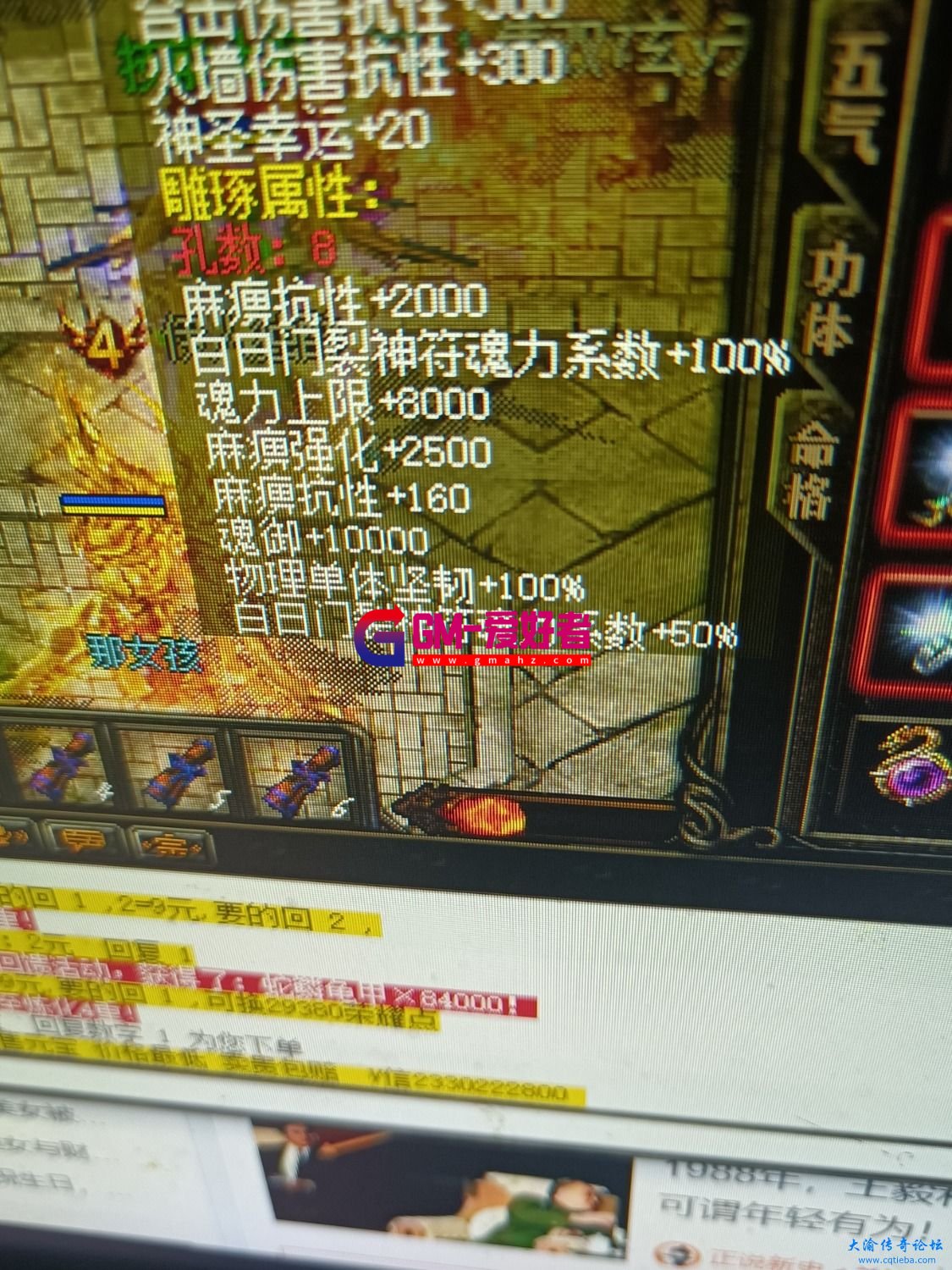 d1.jpg