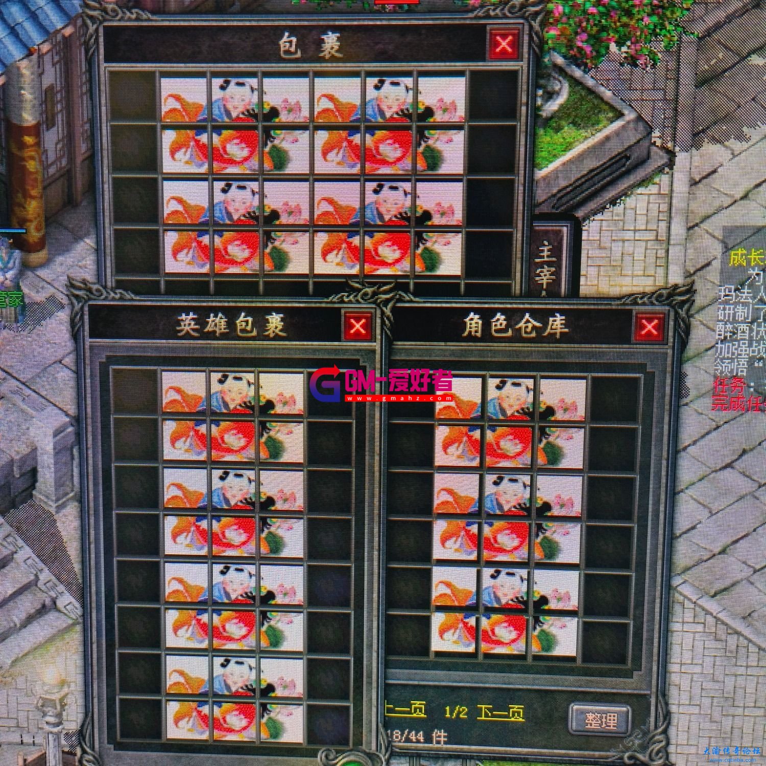 d5.jpg