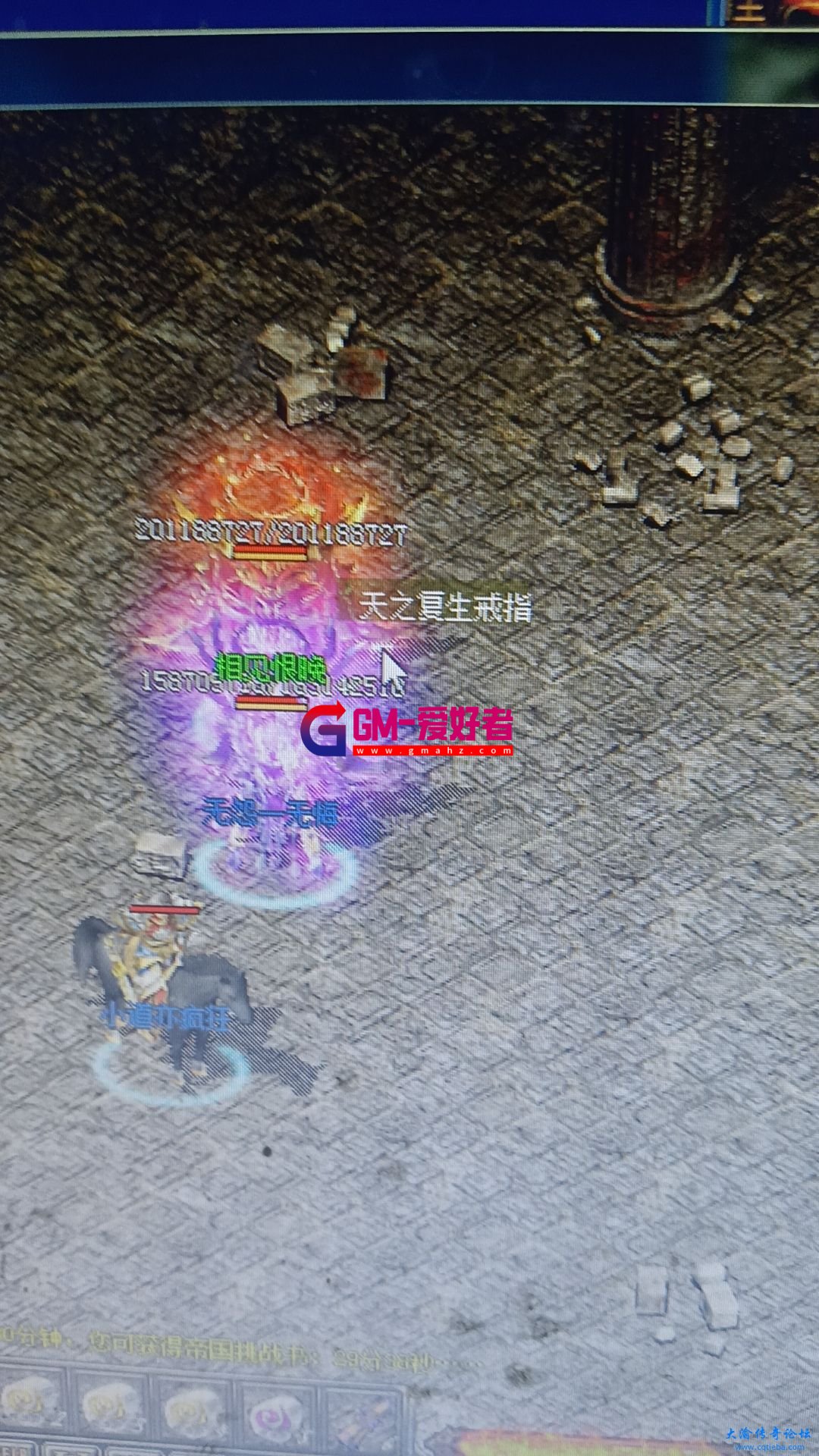 d1.jpg