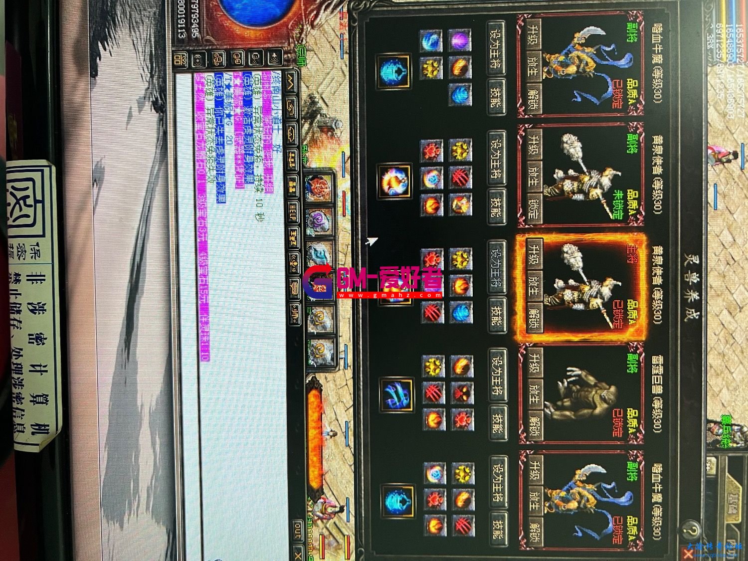 d2.jpeg