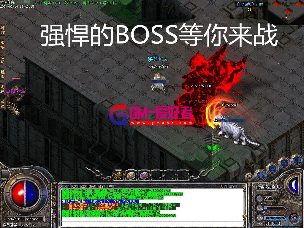 d6.jpg