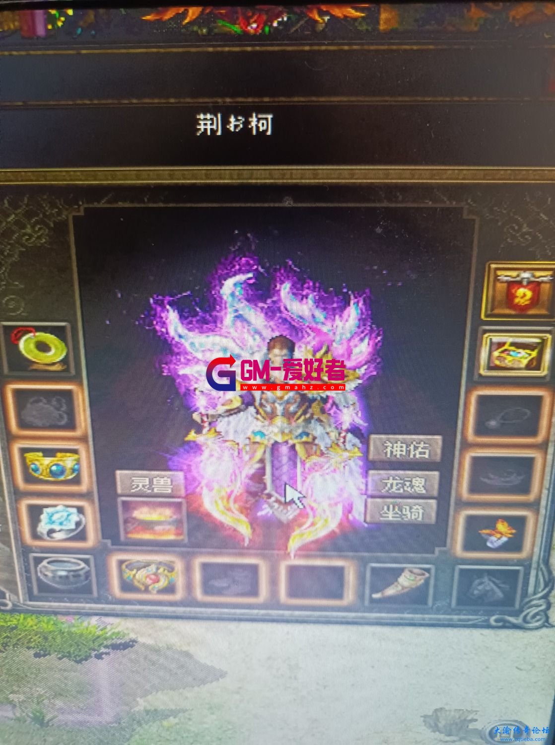 d1.jpg