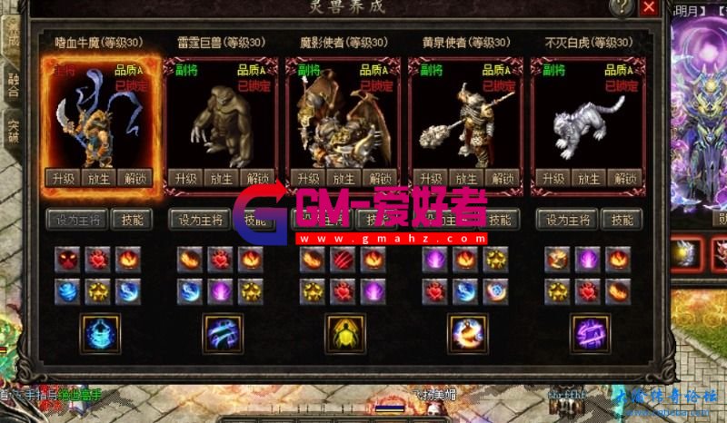 d1.jpg