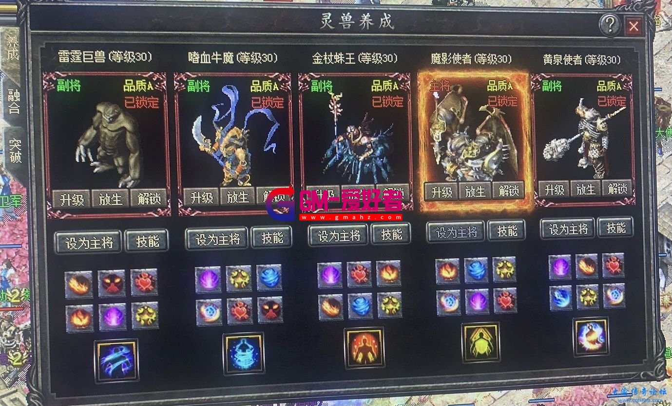 d1.jpg