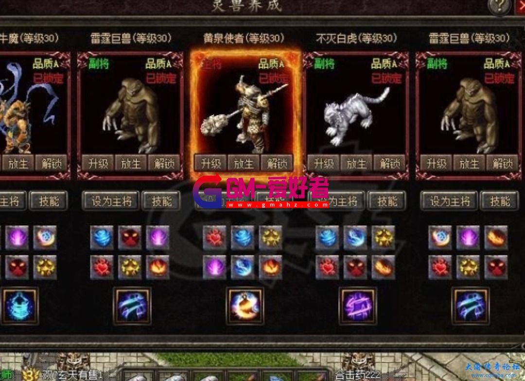 d1.jpg