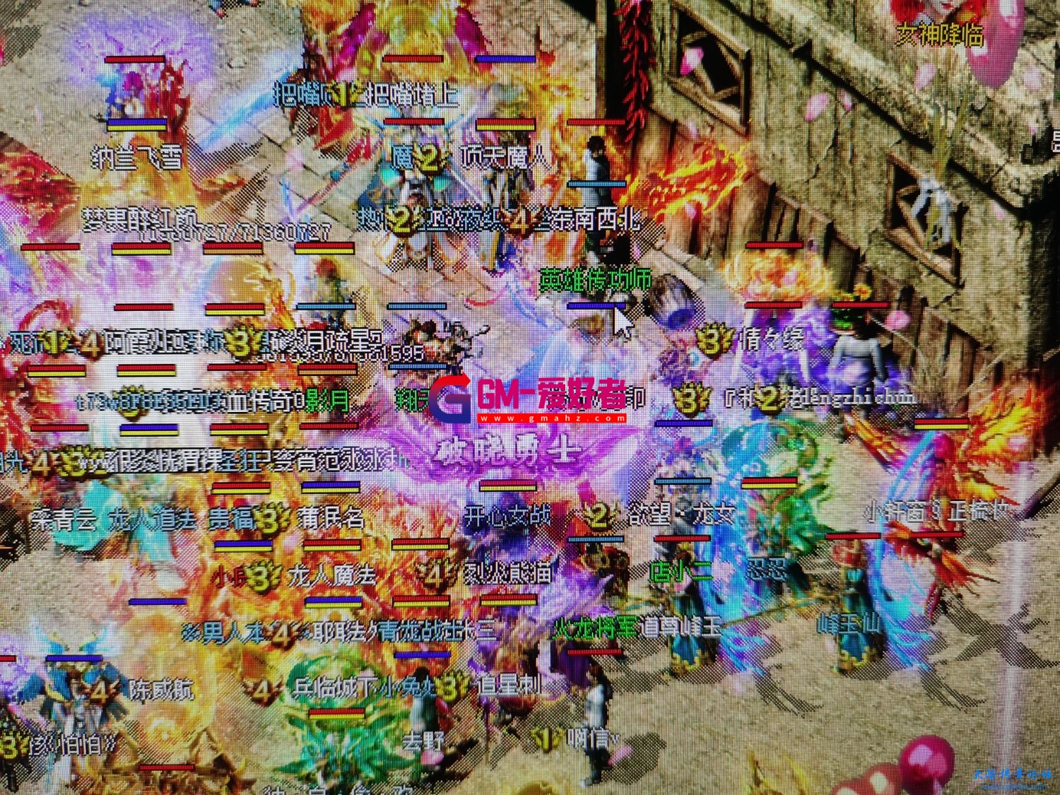 d1.jpg
