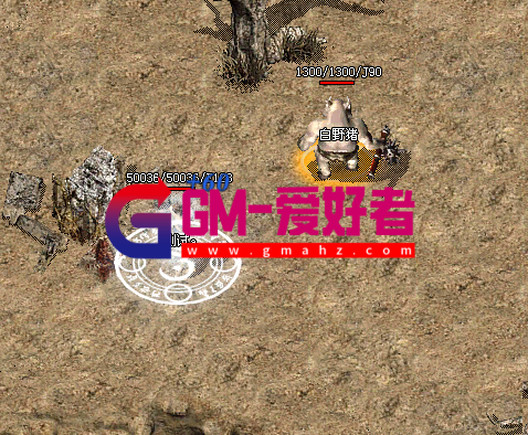 d1.png