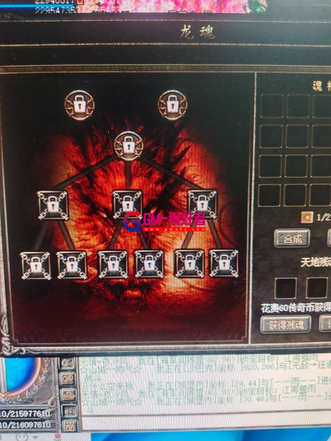 d1.jpg