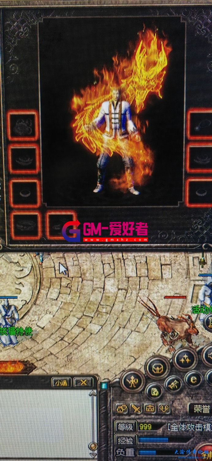 d1.jpg