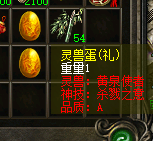 d2.jpg