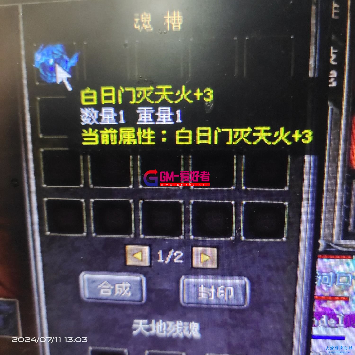 d1.jpg