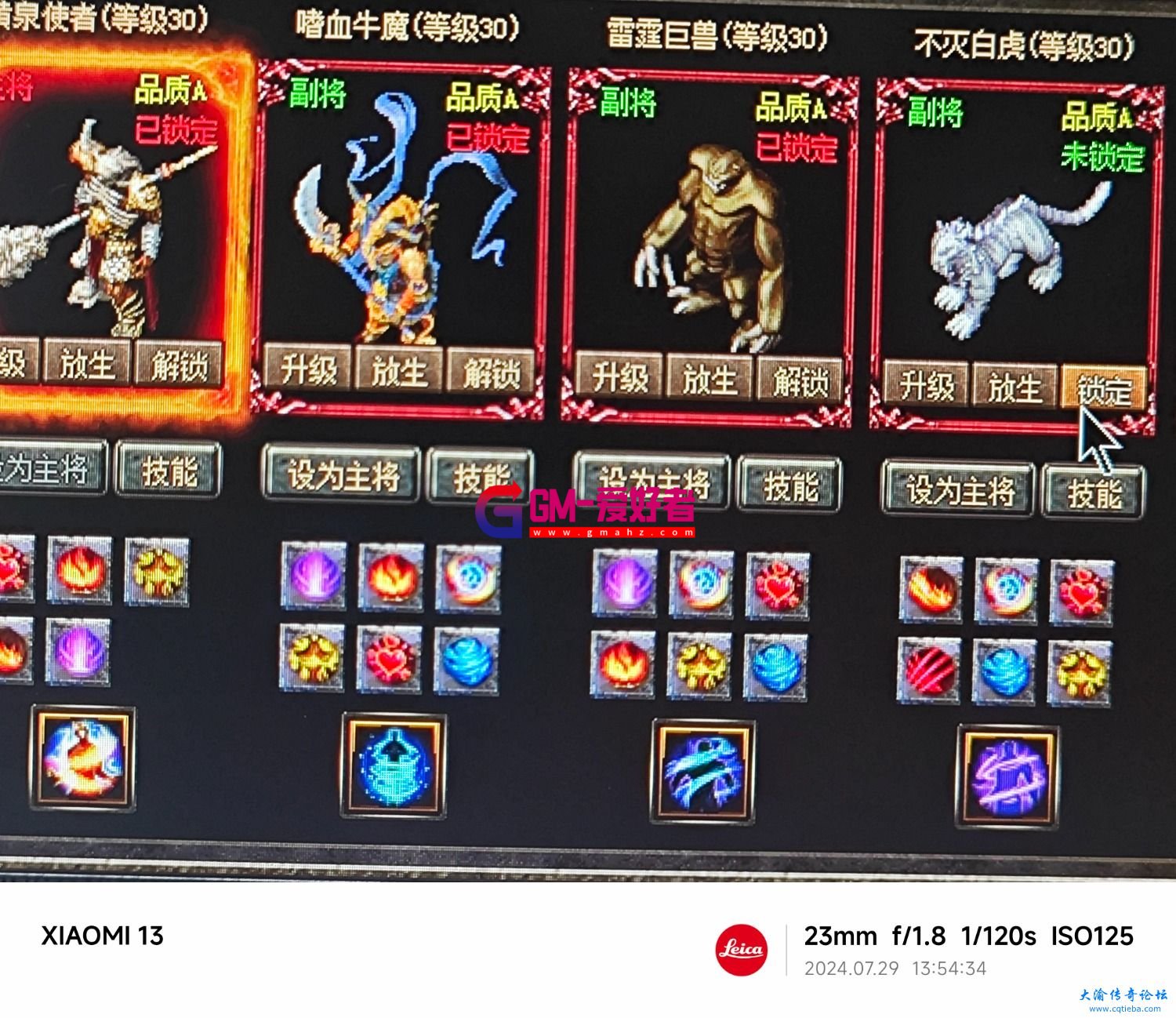 d1.jpg