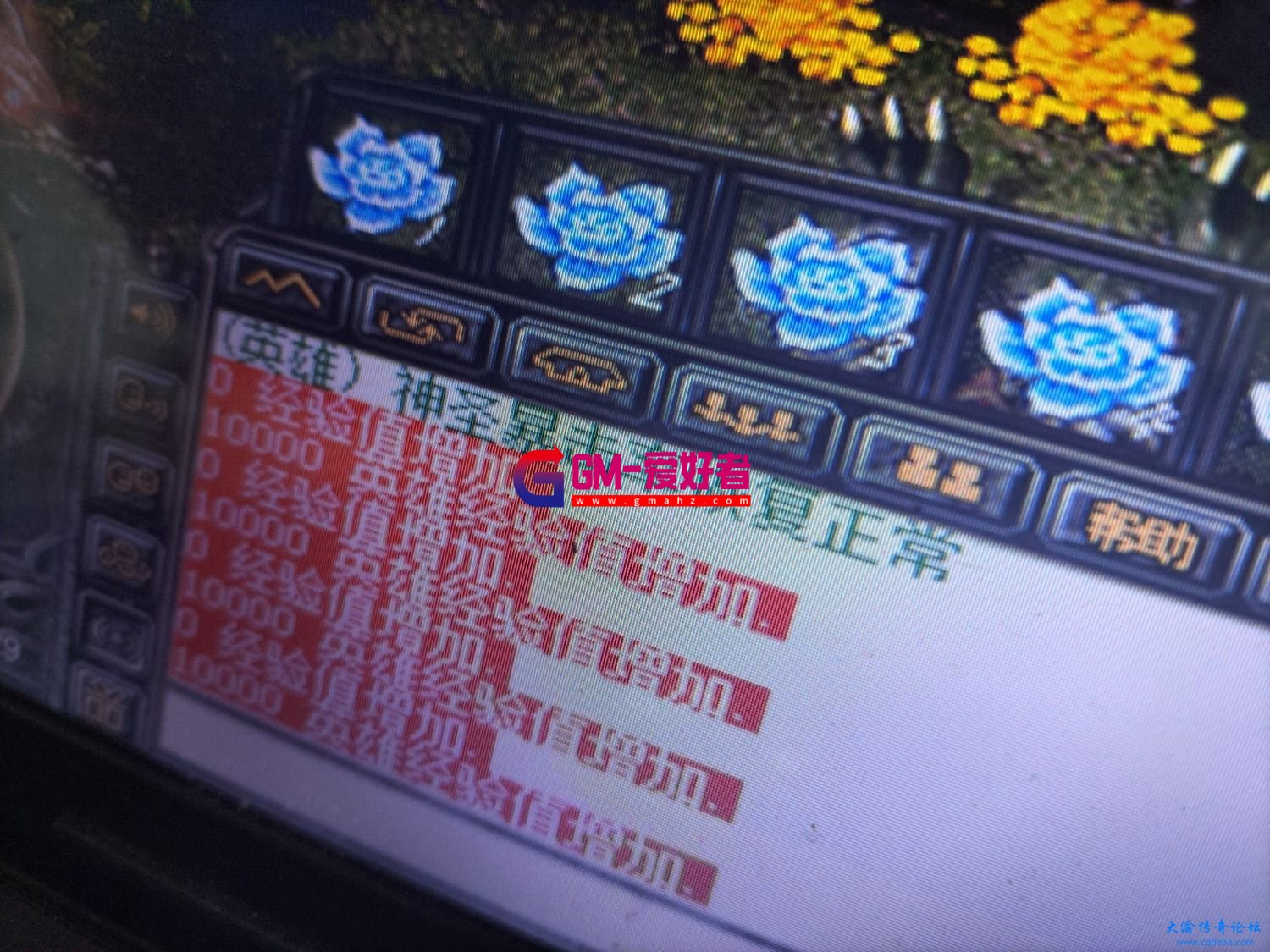 d1.jpg