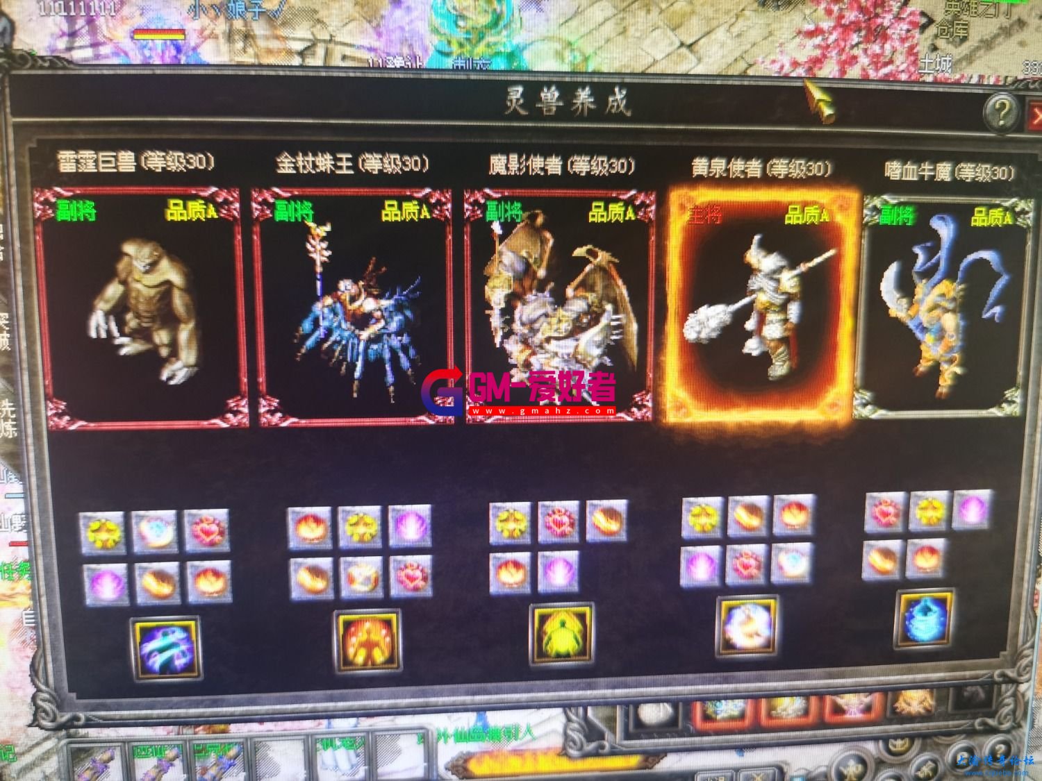 d1.jpg