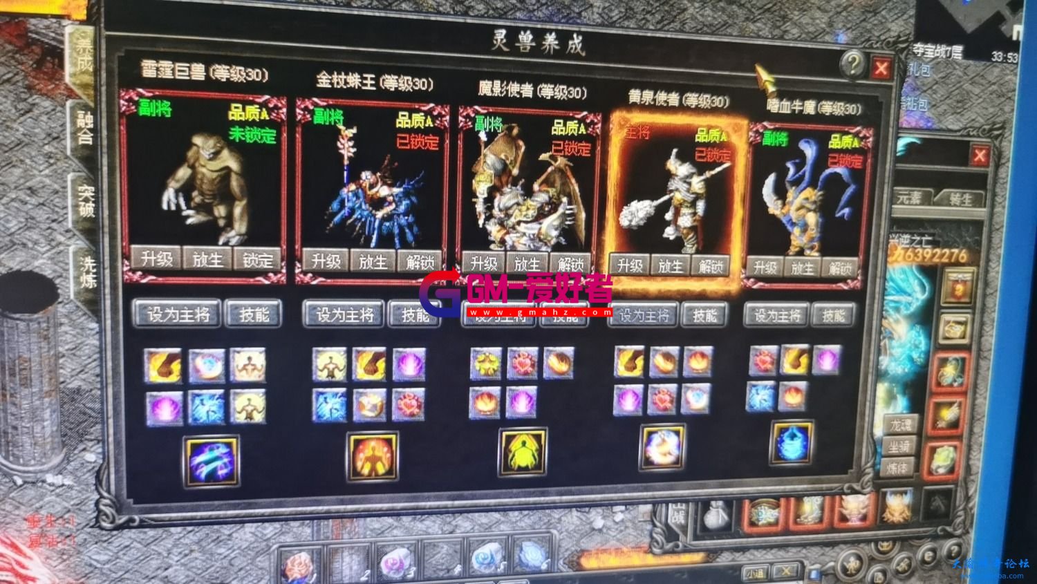 d1.jpg