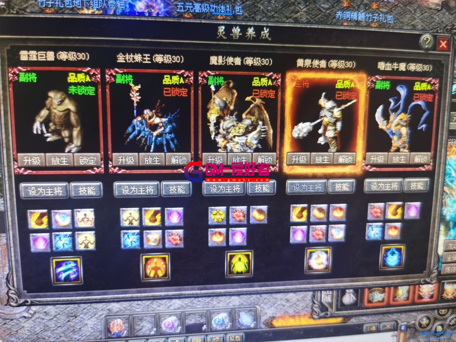 d2.jpg