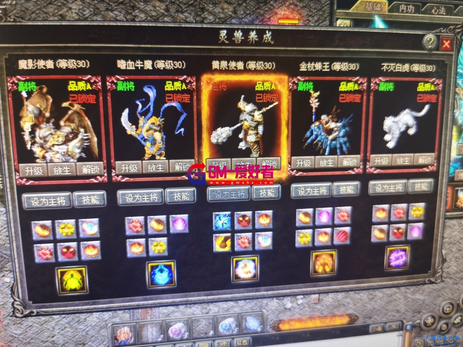 d3.jpg