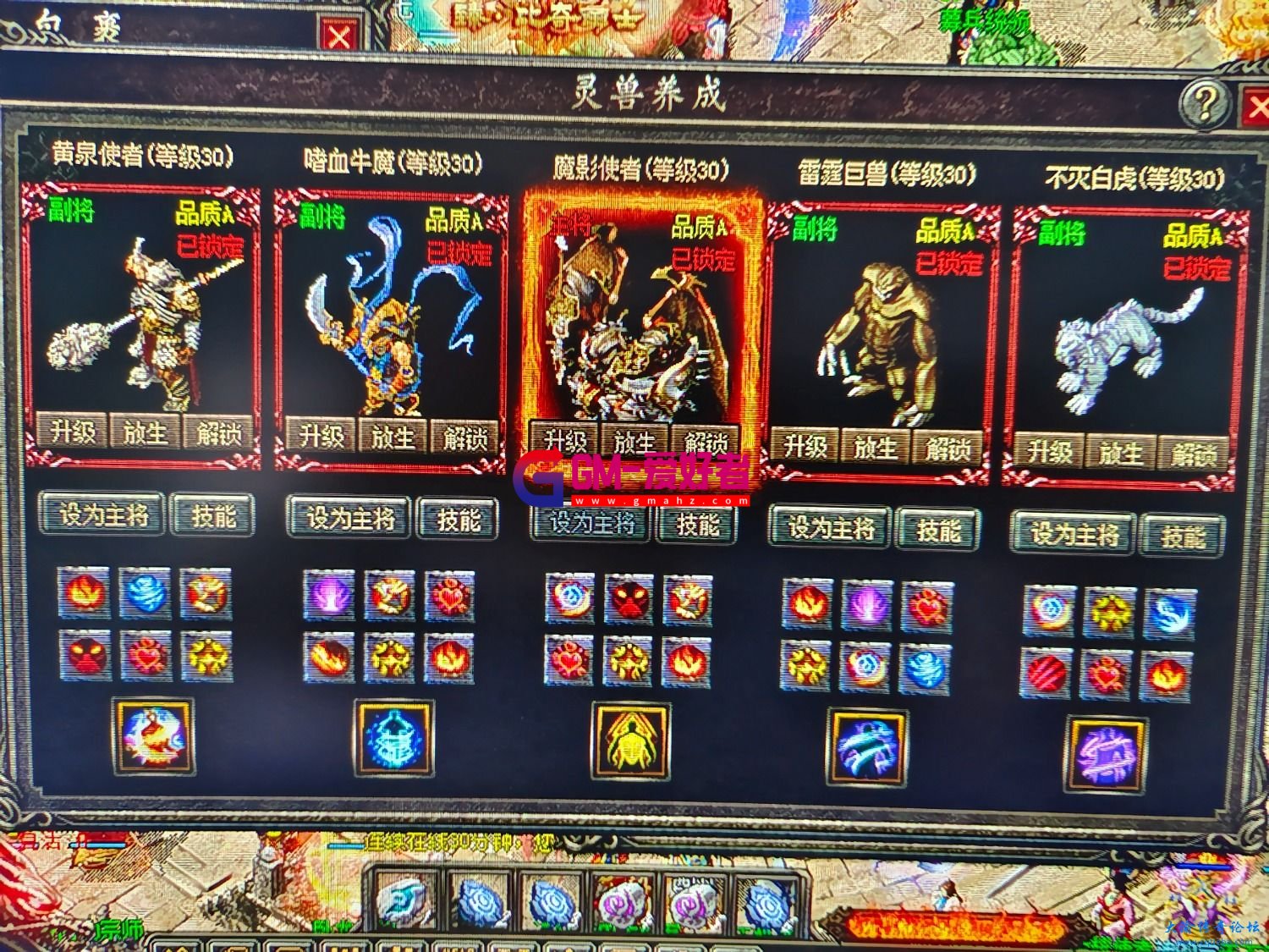 d4.jpg